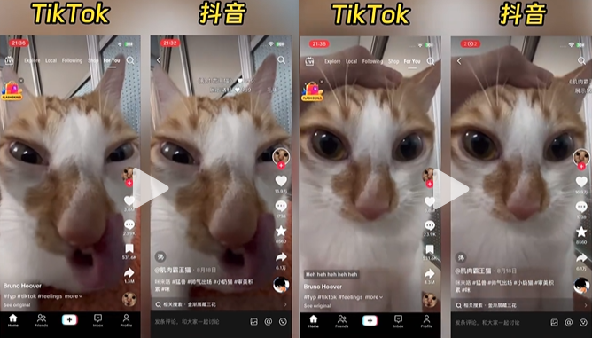 国内爆火视频能否在 TikTok Shop 跑通？